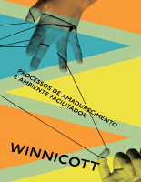 Processos_de_Amadurecimento_e_Ambiente_afcilitador_250102_190711 (1).pdf